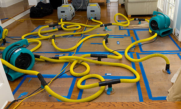 Professional Burst Pipe Water Damage technician working in Clifton, OH